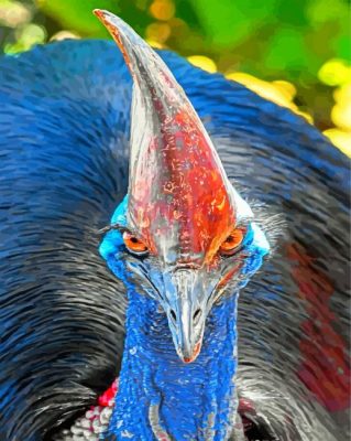 Cassowary Bird - Paint By Number - Num Paint Kit