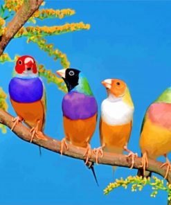 Gouldian-finch-paint-by-numbers