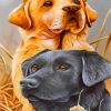 Labrador-Retrievers-paint-by-number
