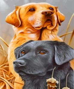 Labrador-Retrievers-paint-by-number