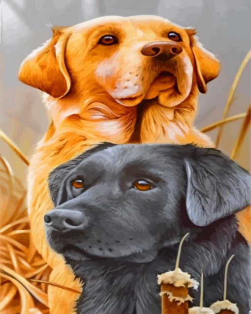 Labrador-Retrievers-paint-by-number