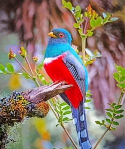 Trogon-paint-by-numbers