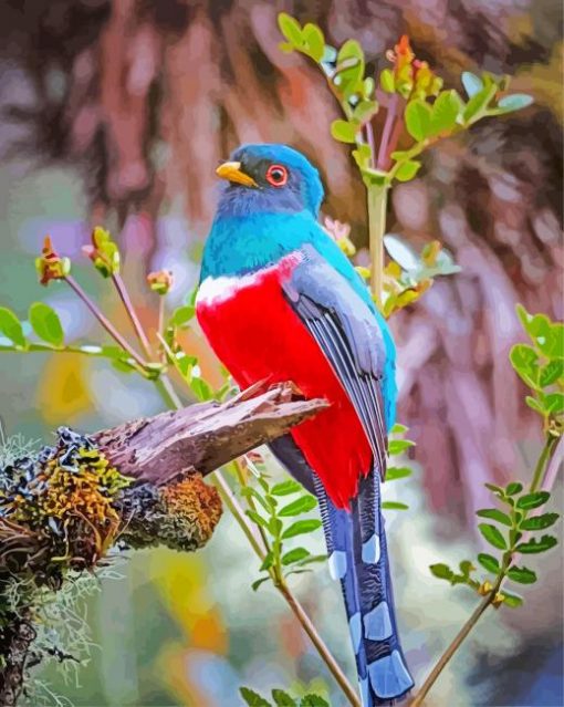 Trogon-paint-by-numbers