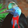 aesthetic-Cassowary-bird-paint-by-number