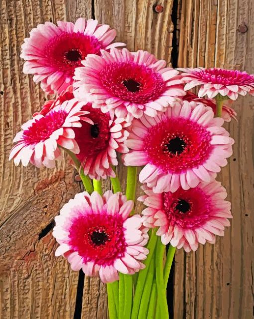 aesthetic-gerbera-paint-by-numbers