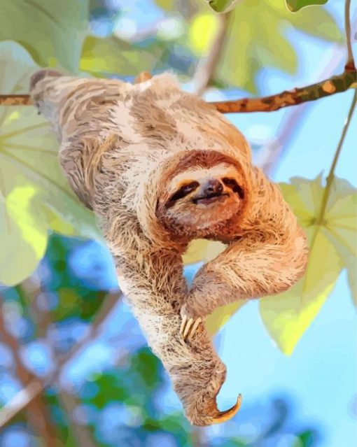 aesthetic-sloth-animal-paint-by-number