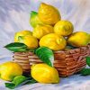 aesthhetic-lemons-paint-by-numbers