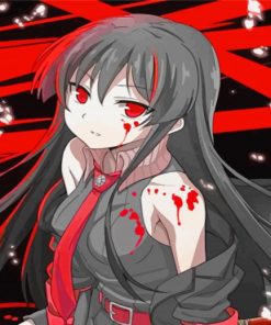 akame-ga-kill-paint-by-number