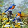 blue-birds-paint-by-numbers