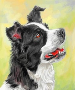 border-collie-dog-paint-by-numbers