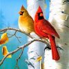 Cardinal Birds paint by numbers