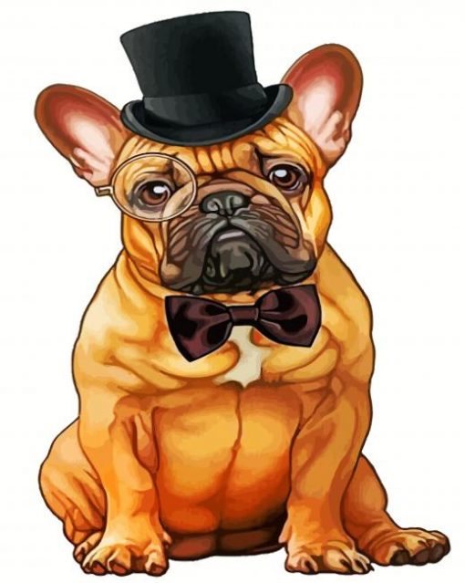 classy-Bulldog-paint-by-number