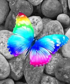 colorful-butterfly-on-stones-paint-by-number