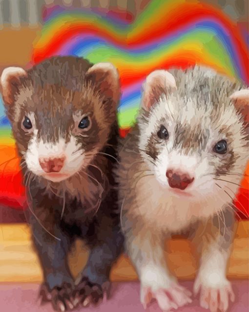 cute-ferrets-paint-by-numbers