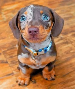 dachshund-puppy-paint-by-number