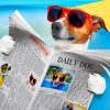 dog-reading-newspaper-paint-by-number