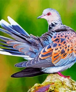 dove-birds-paint-by-numbers