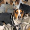 georges-beagle-and-his-sister-paint-by-number