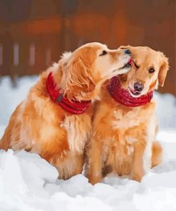 golden-retrievers-in-the-snow-paint-by-numbers