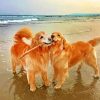 golden-retrievers-paint-by-number