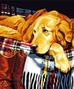 golden-retriver-paint-by-numbers