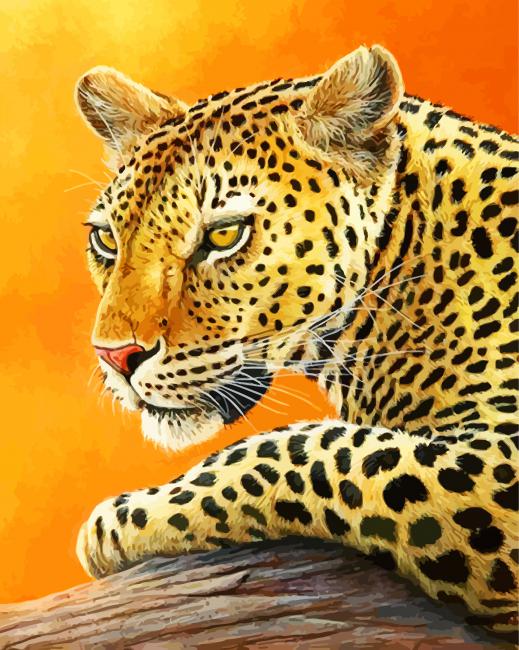 leopard-paint-by-numbers