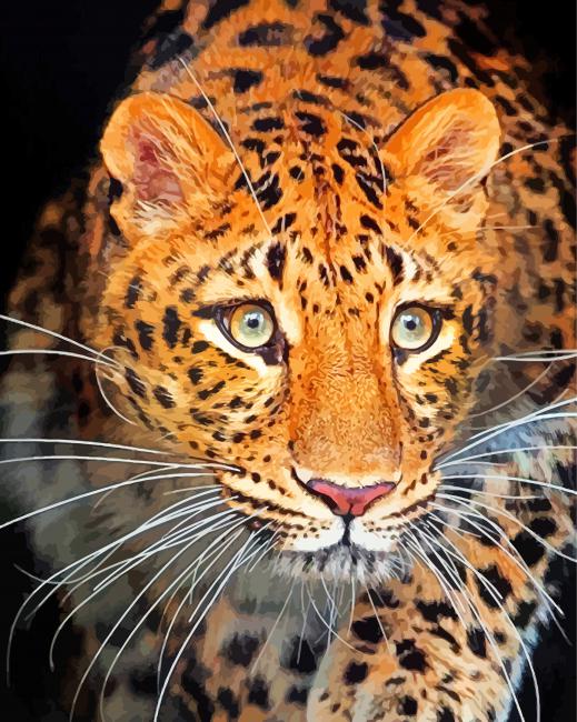 leopard-wild-animal-paint-by-numbers