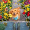 puppy-and-flowers-paint-by-number