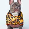 stylish-french-bulldog-paint-by-number