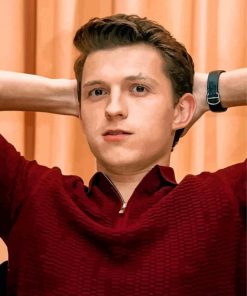tom-holland-paint-by-number