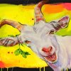 white-goat-paint-by-numbers