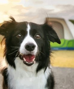 Border-Collie lab-2-paint-by-numbers