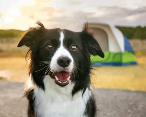 Border-Collie lab-2-paint-by-numbers