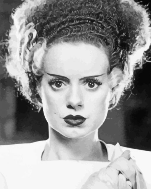Bride-of-frankenstein-monochrome-paint-by-numbers