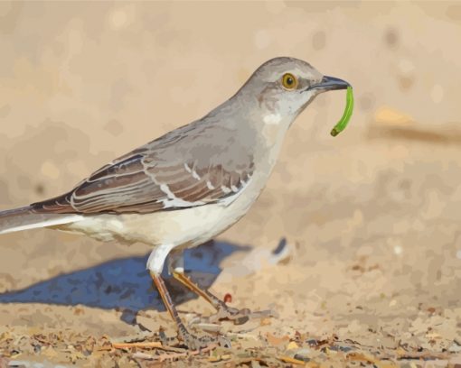 Northern-mockingbird-paint-by-numbers