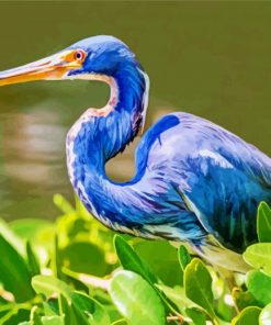 Blue Heron paint by numbers