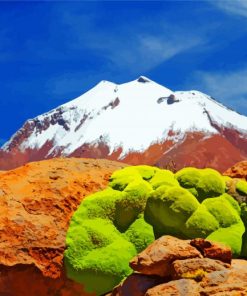 bolivia--landscape-paint-by-number