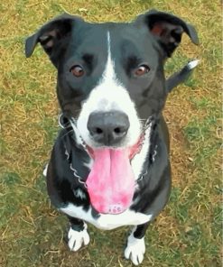 border-collie-lab-pit-mix-paint-by-numbers