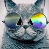 cat-wearing-pink-floyd-glasses-paint-by-numbers
