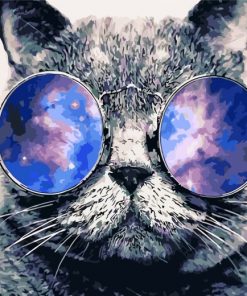 cat-with-sunglasses-paint-by-numbers