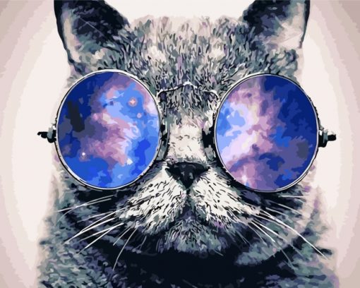 cat-with-sunglasses-paint-by-numbers