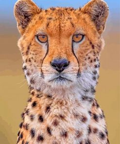 cheetah-wild-animal-paint-by-numbers