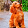 cocker-spaniel-paint-by-numbers
