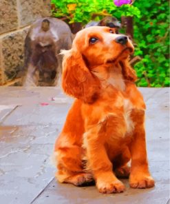 cocker-spaniel-paint-by-numbers