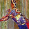 colorful-donkey-paint-by-numbers