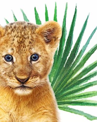 cute-baby-lion-paint-by-numbers