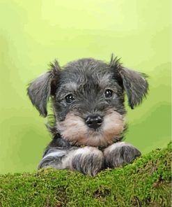 cute-schnauzer-paint-by-numbers