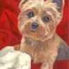 cute-yorkie-paint-by-numbers