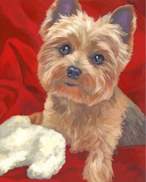 cute-yorkie-paint-by-numbers