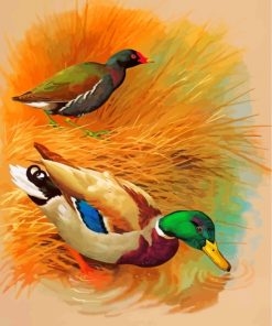 domestic-duck-paint-by-numbers